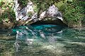 La Source Bleue à Malbuisson dans le Massif du Jura.