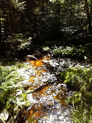 <span class="mw-page-title-main">South Branch Bowman Creek</span> River