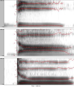 Figure 1: Spectrograms of syllables "dee" (top), "dah" (middle), and "doo" (bottom) showing how the onset formant transitions that define perceptually the consonant [d]
differ depending on the identity of the following vowel. (Formants are highlighted by red dotted lines; transitions are the bending beginnings of the formant trajectories.) Spectrograms of syllables dee dah doo.png