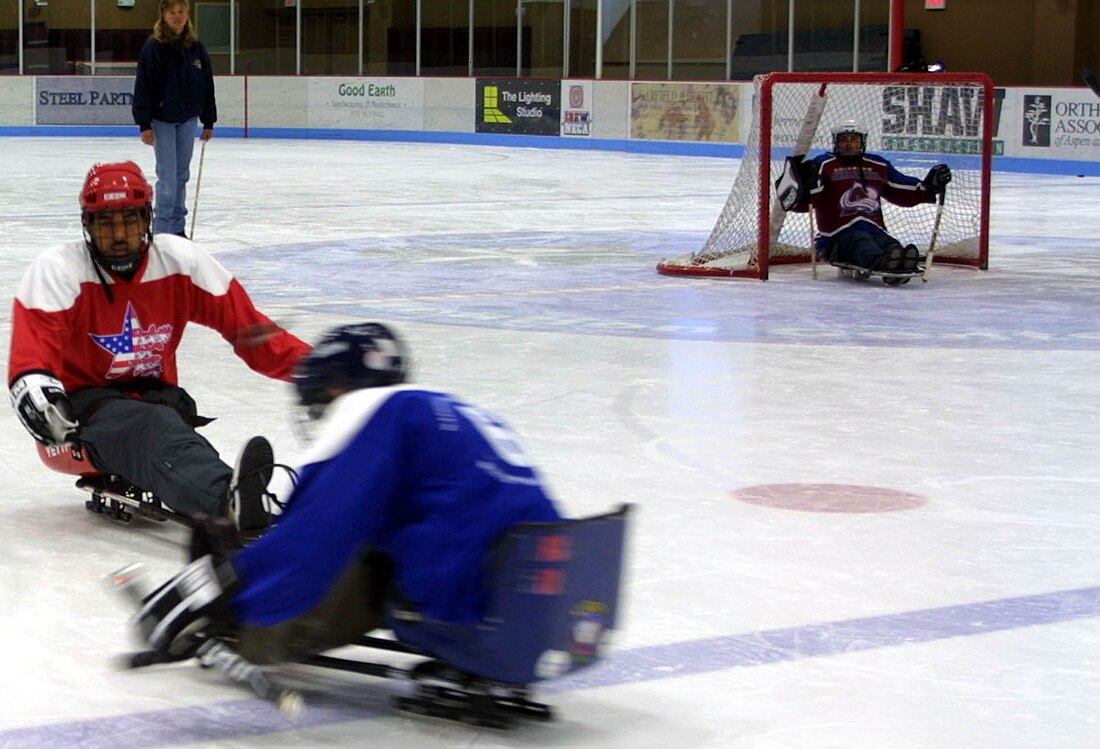 Hockey su slittino