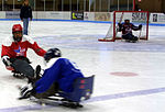 Vignette pour Para-hockey sur glace