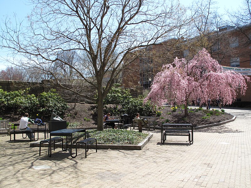 File:Spring at the Library (3448227220).jpg