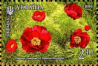 Марка Укрпошти «Півонія вузьколиста (Paeonia tenuifolia)»із блоку поштових марок «Краса і велич України. Луганська область» (2016)