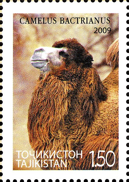 File:Stamps of Tajikistan, 016-09.jpg