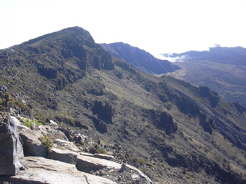 File:Starr-030721-0146-Silene struthioloides-habitat-Kalahaku HNP-Maui (24529347432).jpg