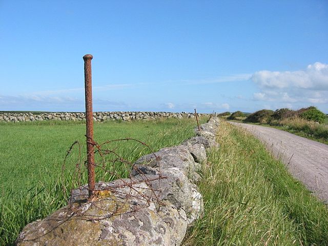 to steingarder og grønn eng