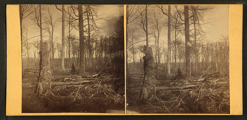 File:Stereoscopic views of Indiana, from Robert N. Dennis collection of stereoscopic views.jpg