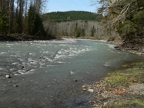 The South Fork of the Stillaguamish River near Verlot