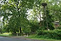 image=https://commons.wikimedia.org/wiki/File:Stork-nest-lodzkie-poland_32.jpg