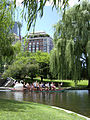 Swan boat, Boston Public Garden