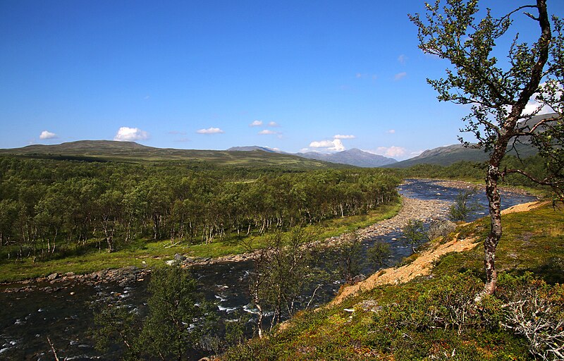 File:Sweden 2018-07-27 (42921651070).jpg