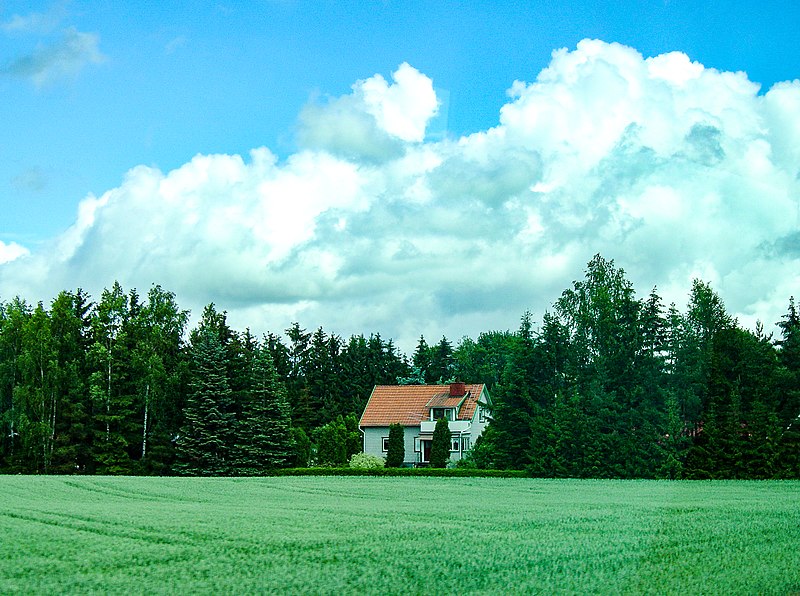 File:Swedish countryside from a bus, 2007-06-14, Östergötland 07.jpg