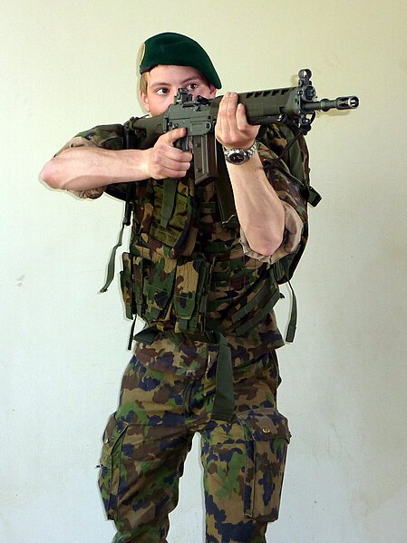 File:Swiss soldier SG550.JPG