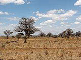Национални Паркове В Танзания: Уикимедия списък