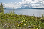 Vignette pour Lac Teslin