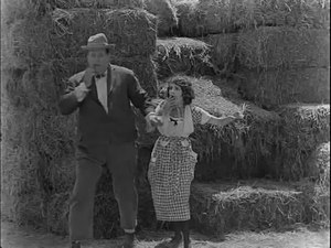 The Scarecrow (1920).webm