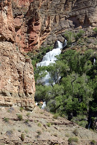 <span class="mw-page-title-main">Thunder River (Tapeats Creek tributary)</span> River in the Grand Canyon National Park, Arizona