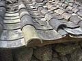 Imbrex and tegula style roof tiles are also used in other parts of the world. This is a roof in Hainan, China, with concave tegula.