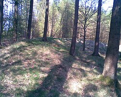 Troldborg Ring: Cirkulær tilflugtsborg over Vejle Ådal (60173)