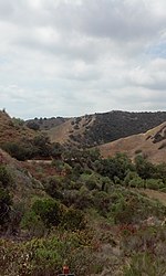 Turnbull Canyon