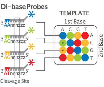 2 base encoding