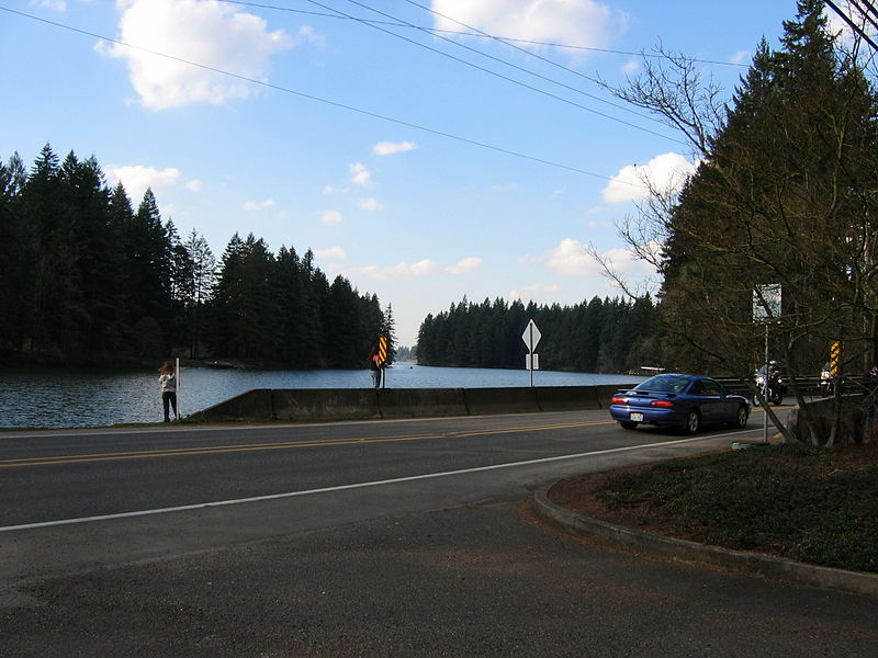 File:US-WA-lacamas lake-south east bank-tar.jpg