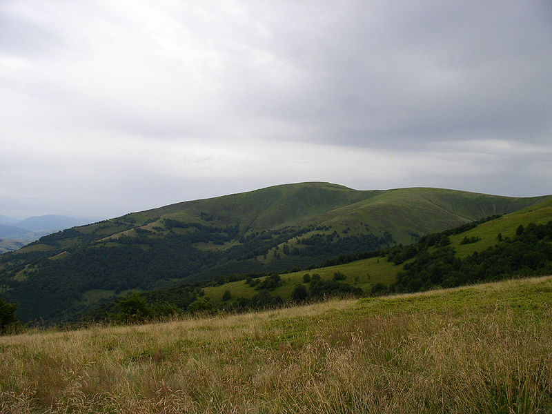 File:Ukraine-Carpathian Mountains-Polonina Borzha Range-42.jpg