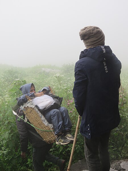 File:Valley of Flowers National Park - during LGFC - VOF 2019 (71).jpg