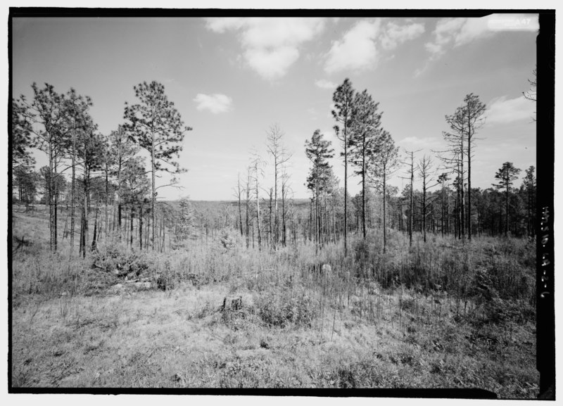 File:View from parking lot, looking east - Kisatchie National Forest, Kisatchie Ranger District, 106 Old Highway 6 West, Natchitoches, Natchitoches Parish, LA HALS LA-2-6.tif