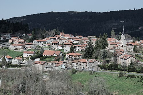 Rideau métallique Planfoy (42660)