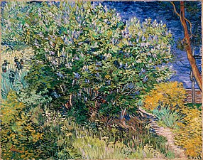 Vincent van Gogh, Lilas (1889), Saint-Pétersbourg, musée de l'Ermitage.