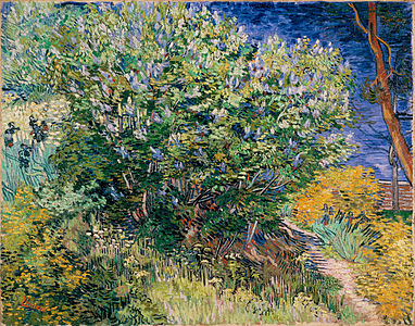 Lilas du jardin de l'hôpital, moai 1889