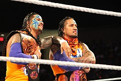 The Usos as WWE Tag Team Champions in 2014.