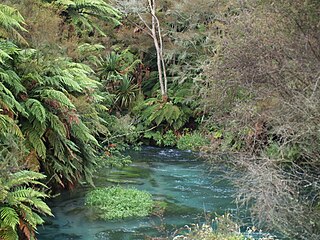 <span class="mw-page-title-main">Waihou River</span> River in Waikato, New Zealand