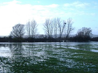 Walmore Common