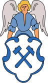 Das Wappen von Falkenstein/Vogtl.