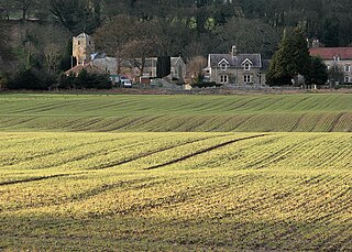 <span class="mw-page-title-main">Warden, Northumberland</span> Human settlement in England