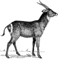 Waterbuck (PSF).png