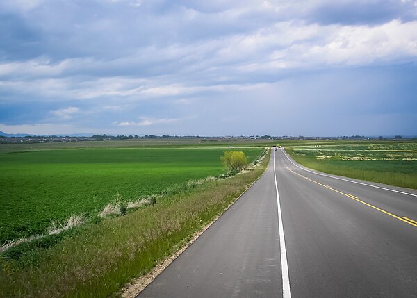 Crop fields in western Weld County