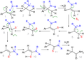 Willgerodt-Kindler Reaction Pdf