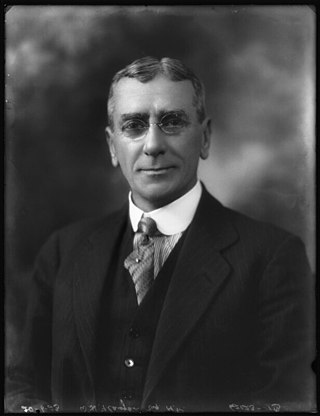 <span class="mw-page-title-main">William Flanagan (politician)</span>