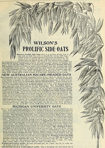 File:Wilson's seed catalogue - plant, tree and live stock annual, fresh and reliable garden field and flower seeds (1896) (20537640682).jpg
