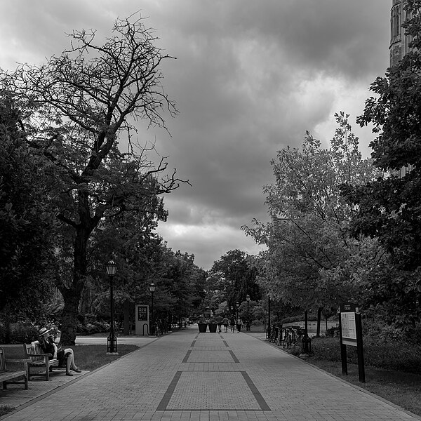 File:Woman sitting on a park bench in front of the Saieh Hall For Economics , University of Chicago, Illinois, US (PPL2-Enhanced) julesvernex2.jpg