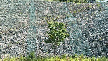 영동군 영동읍 설계리, 감고을요양병원(영동읍 대학로 106) 입구 도로변 북위 36° 11′ 10.0″ 동경 127° 46′ 54.0″﻿ / ﻿북위 36.186111° 동경 127.781667° ﻿ / 36.186111; 127.781667