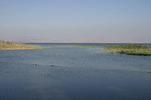 Sea Of Galilee: History and scripture, Related pages, Other websites