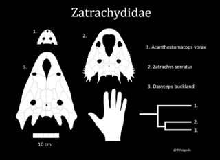 <span class="mw-page-title-main">Zatracheidae</span> Extinct family of temnospondyls