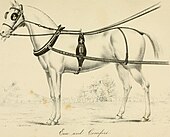 Harness "Centaur" - or The "turn out," a practical treatise on the (humane) management of horses, either in harness, saddle, or stable; with hints respecting the harness-room, coach-house, &c. (1878) (14778457091).jpg