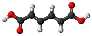 (E,E)-Muconic-acid-3D-balls.png