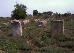 Старинное еврейское кладбище в городе Килия[а]