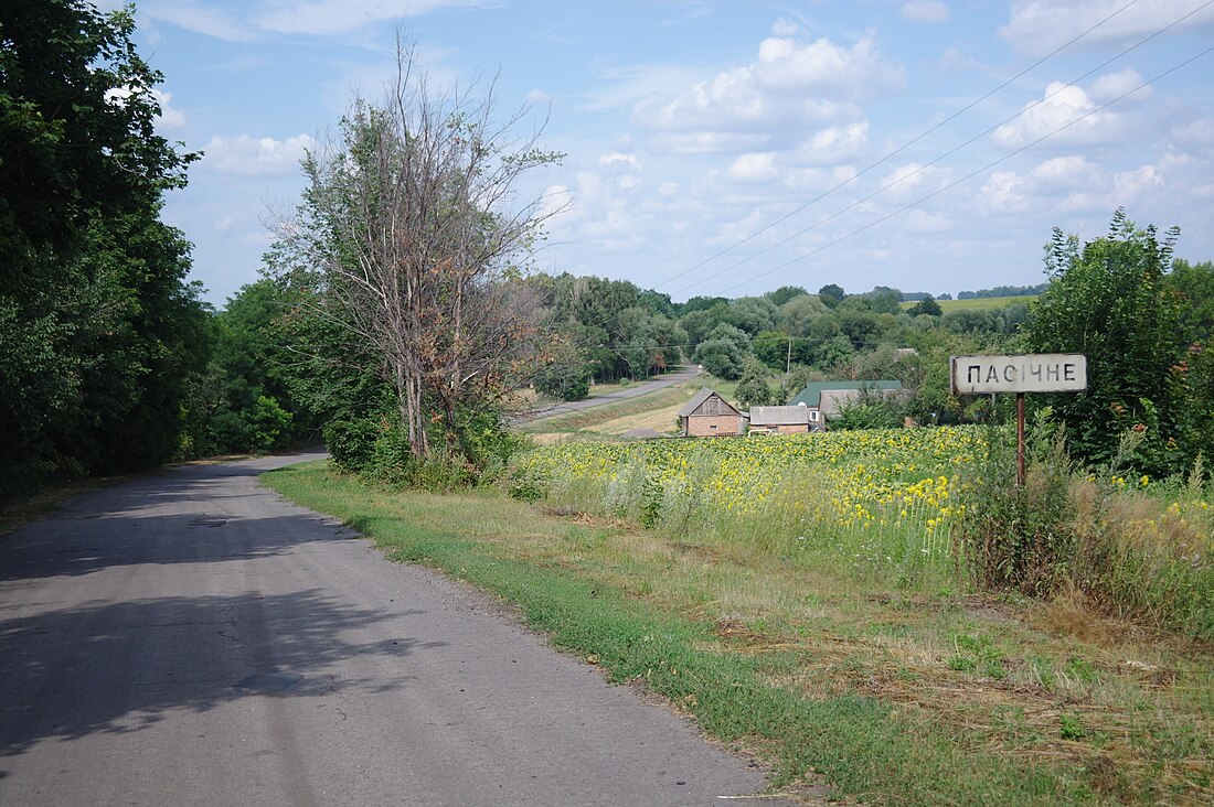 Pasicine, Novi Sanjarî